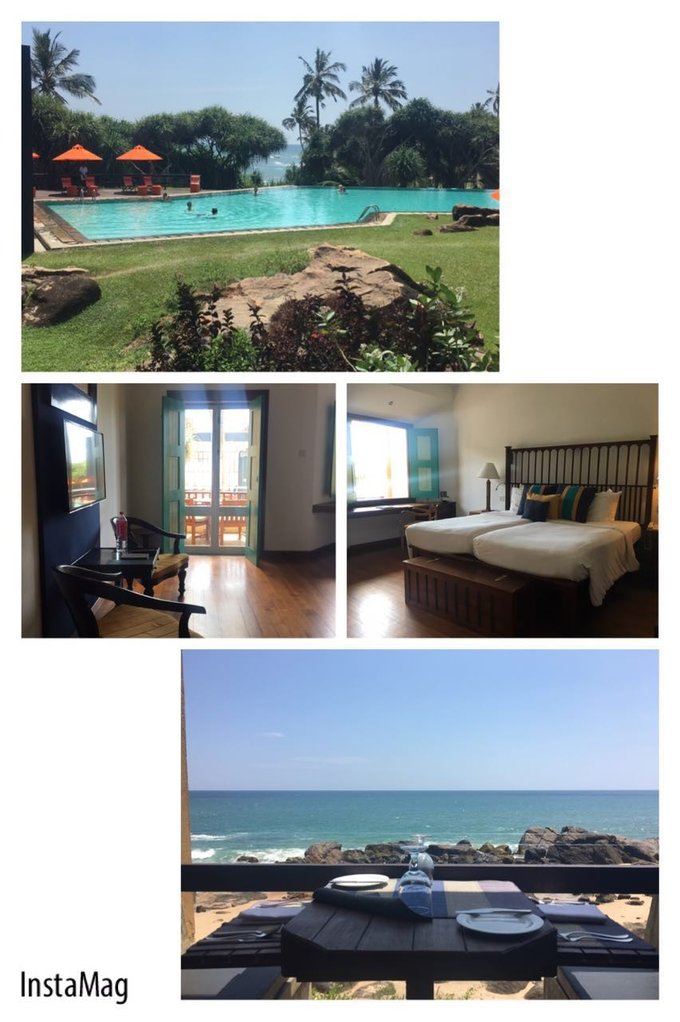 锡兰，九野，春天里@2016