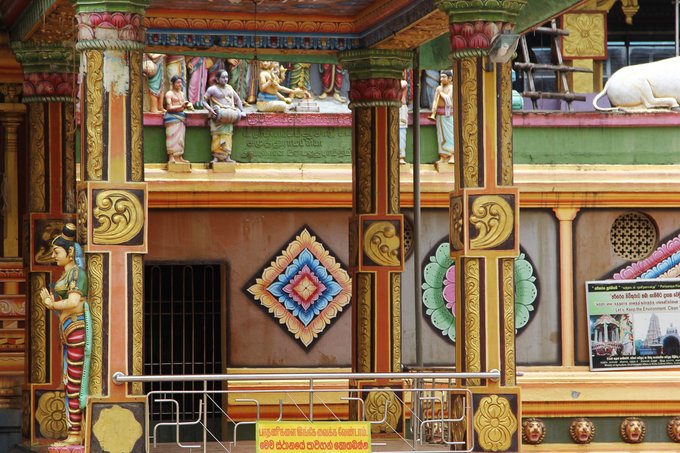 锡兰，九野，春天里@2016