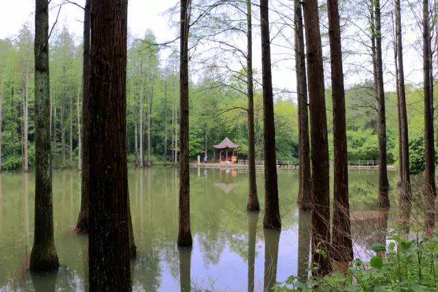 郑州附近一日游最佳玩水景点,郑州陇海路西三环玩水