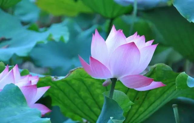 郑州附近一日游最佳玩水景点,郑州陇海路西三环玩水