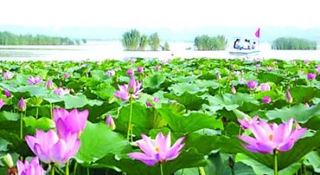 郑州附近一日游最佳玩水景点,郑州陇海路西三环玩水