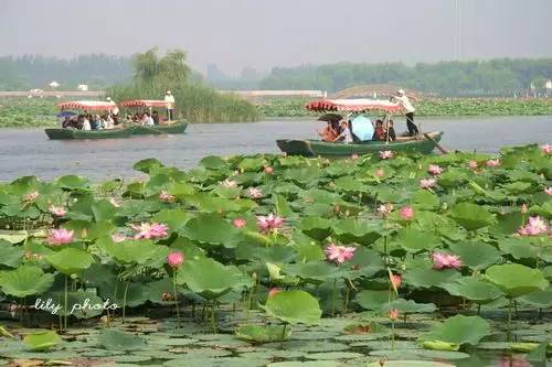郑州附近一日游最佳玩水景点,郑州陇海路西三环玩水