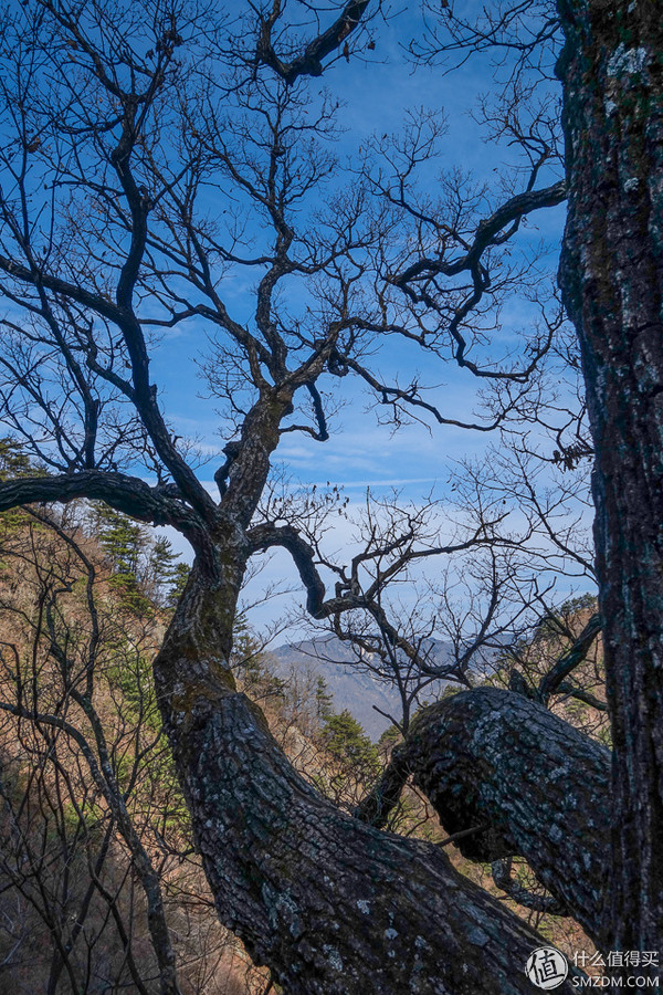 icebreaker滑雪服,icebreaker黑色保暖衣