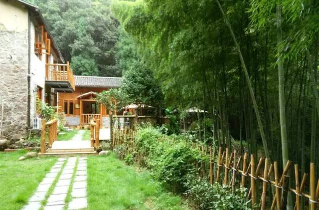 东南第一山私藏浙南最美的风情,浙江山林美宿攻略