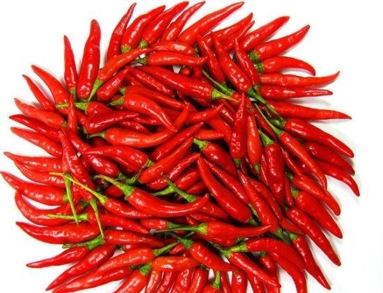 经期不能吃姜和醋吗,经期不能吃油炸食品吗