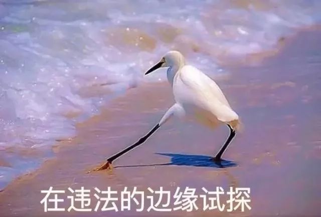 85岁阿婆带了4瓶止咳露入境,这一次深检君又创新了……