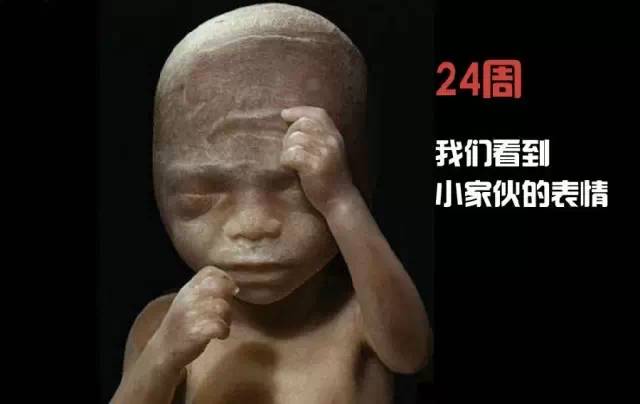 造人计划之前必须要做的几件事,造人是个很辛苦的事情