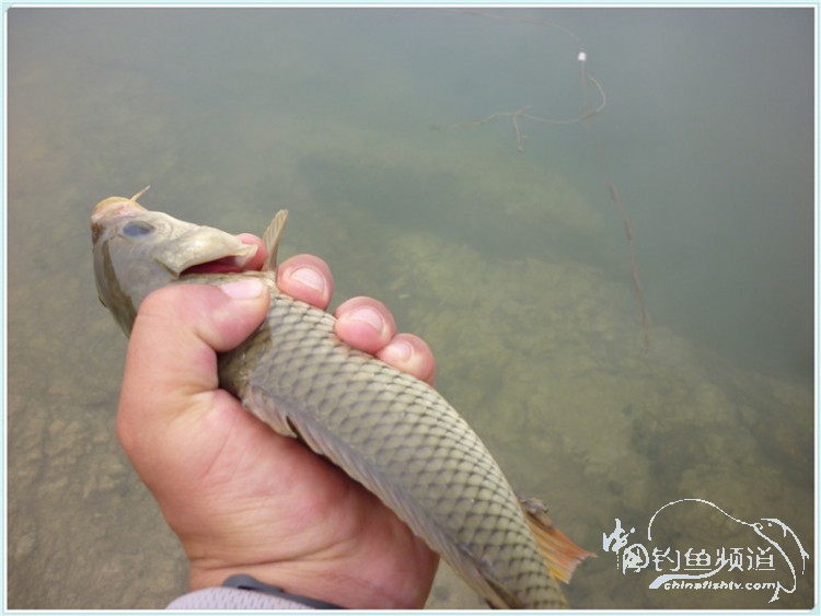 游钓中国丹江口市之行,游钓丹江300天