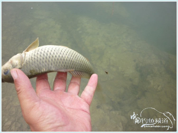 游钓中国丹江口市之行,游钓丹江300天