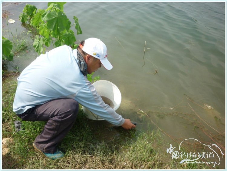 游钓中国丹江口市之行,游钓丹江300天