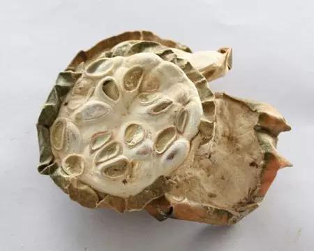 中医带状疱疹的治疗经典名方,带状疱疹中药方剂医案