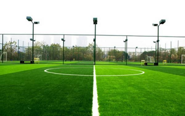 欧洲杯足球在哪里踢得好,2024年欧洲杯足球场一览表最新版