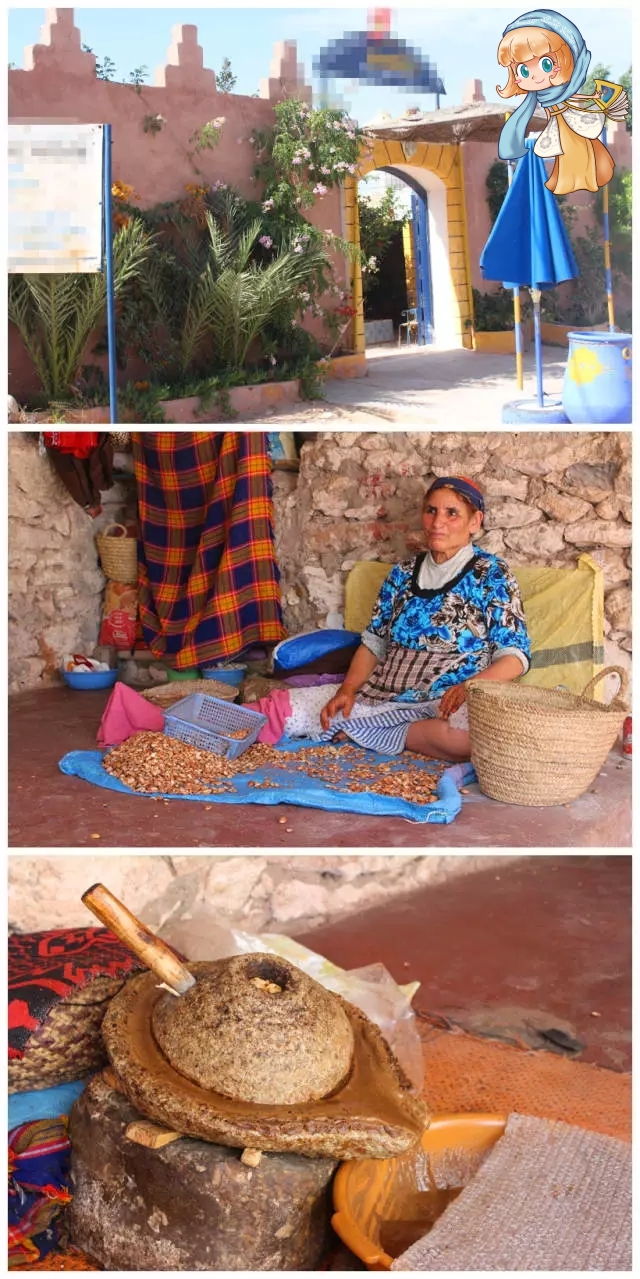 摩洛哥必买玫瑰精油,摩洛哥免签需要买回程票吗