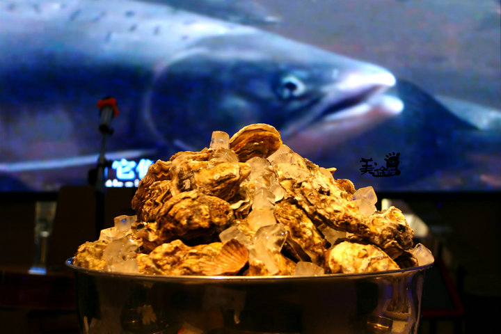 看花样男子去哪里看,深海八百米海鲜自助