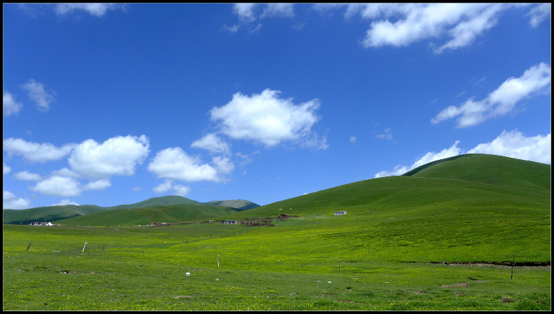 自由在高处的主要内容,自由在高处合集