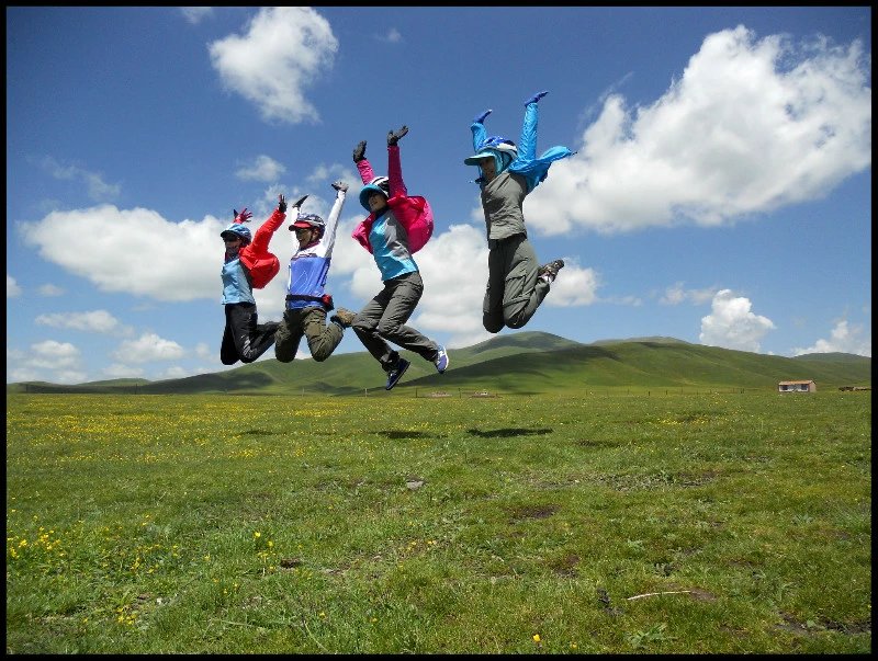 自由在高处的主要内容,自由在高处合集