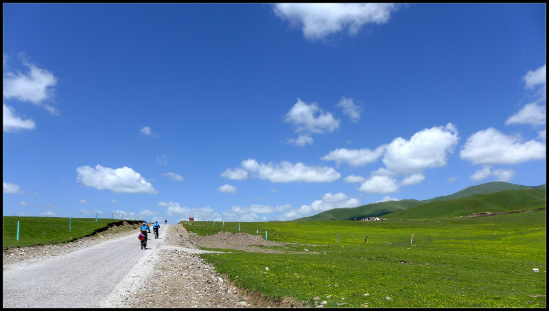 自由在高处的主要内容,自由在高处合集