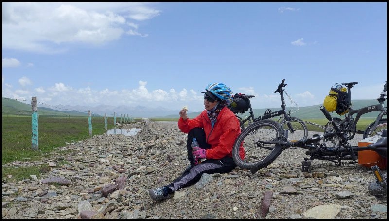 自由在高处的主要内容,自由在高处合集