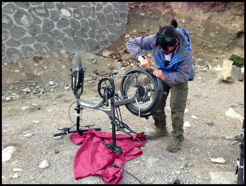 自由在高处的主要内容,自由在高处合集