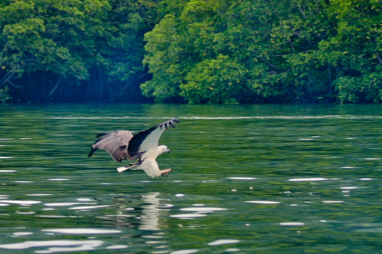 兰卡威旅游超详细攻略,去兰卡威注意事项