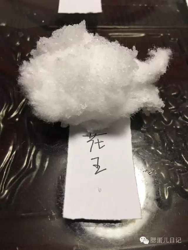 奶粉尿不湿试用公众号,品牌尿不湿1-3岁