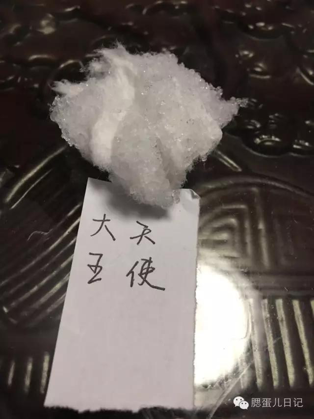 奶粉尿不湿试用公众号,品牌尿不湿1-3岁
