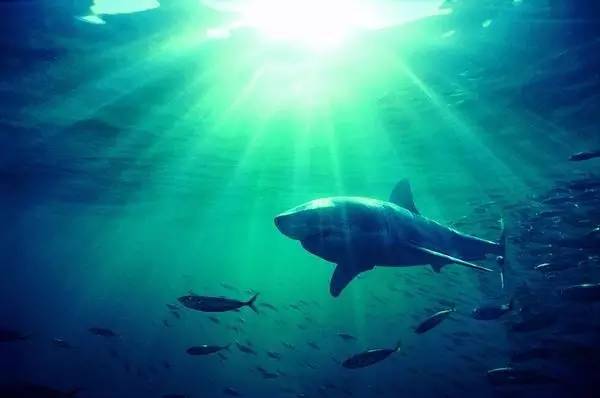 比马尔代夫还美的地方,比马尔代夫还美的国内海岛