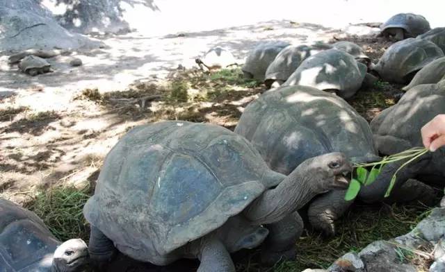 比马尔代夫还美的地方,比马尔代夫还美的国内海岛