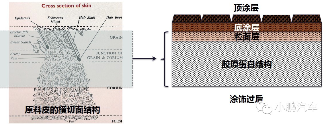 汽车内饰皮革图案定制,汽车内饰软包皮革面料