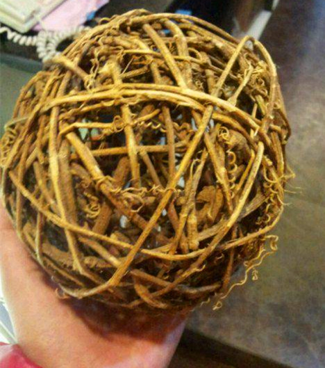 欧洲杯10大经典足球,看欧洲杯知识