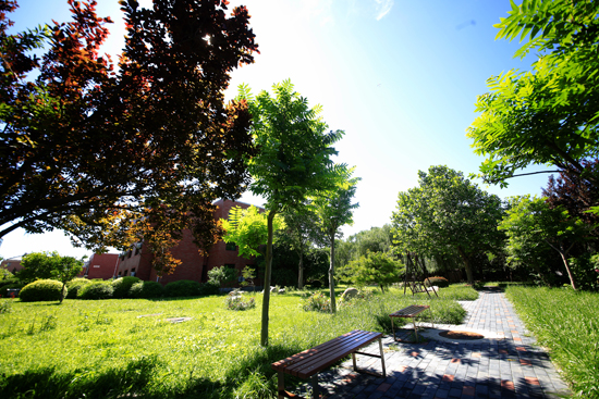 北音还可以考大学吗,什么学历可以去北音