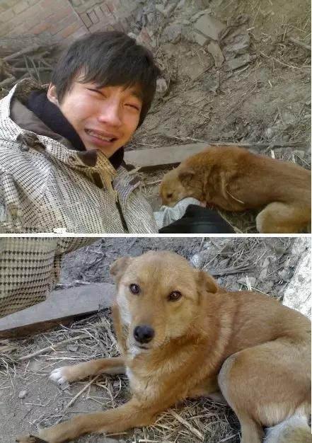 宠物感动瞬间催泪视频,宠物感人