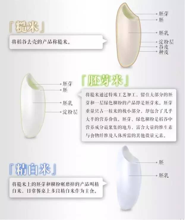 脚气病人的福音,脚气病患者的福音