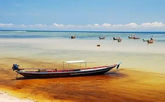 这个20年前无人知晓的小岛，现在竟然成为穷尽想象的魅惑之地！