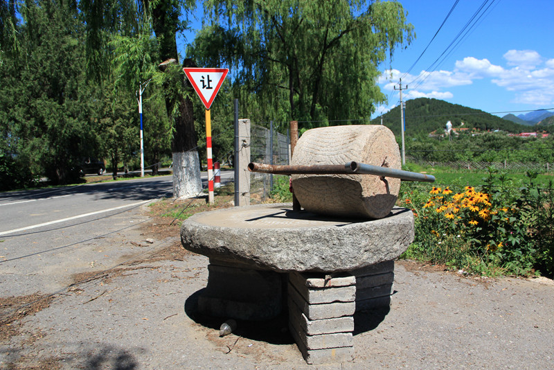 北京东方普罗旺斯薰衣草庄园,国外普罗旺斯薰衣草庄园夕阳