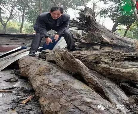 拆70年老宅发现100多年前的乌木,农民挖出一个天价的乌木