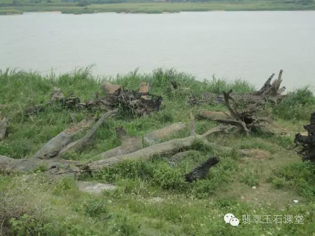 拆70年老宅发现100多年前的乌木,农民挖出一个天价的乌木