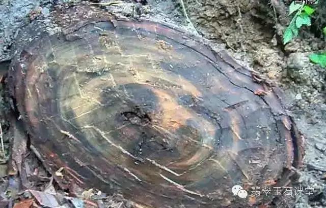 拆70年老宅发现100多年前的乌木,农民挖出一个天价的乌木