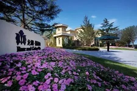 九条猛龙齐过江谁霸江山谁称王？