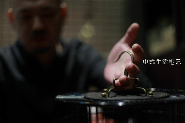 提笼架鸟说明什么,提笼架鸟视频