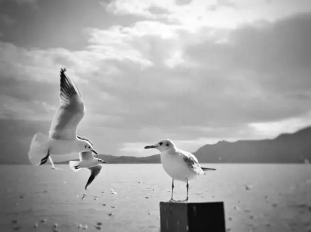 点赞他们的高光时刻,大家用手机拍出过什么好看的照片