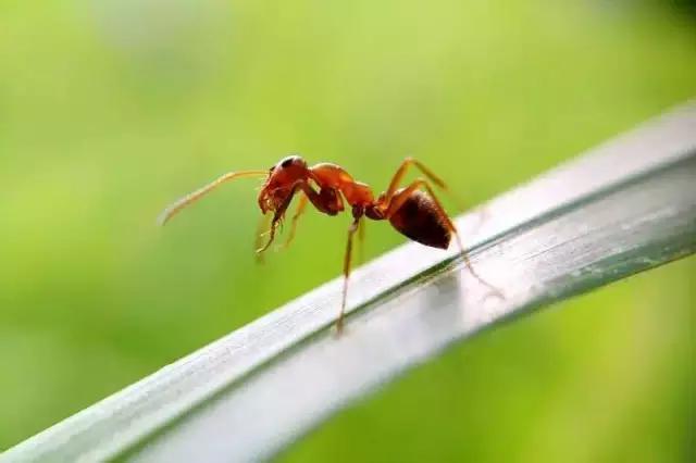 点赞他们的高光时刻,大家用手机拍出过什么好看的照片