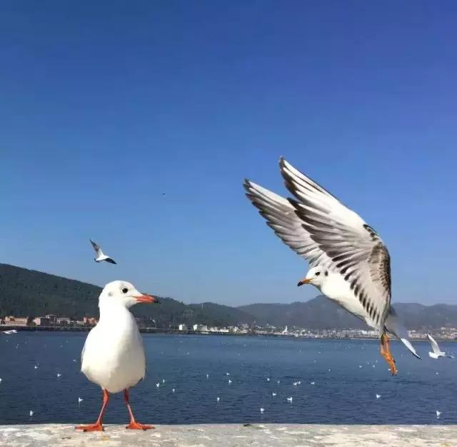 点赞他们的高光时刻,大家用手机拍出过什么好看的照片