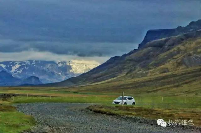 我在冰岛，带回一截漂亮的枯木