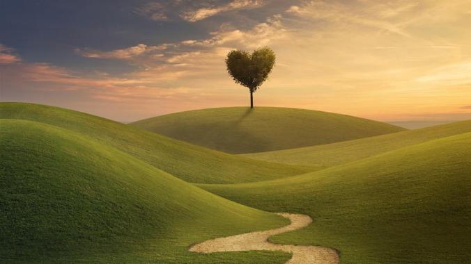 Daniel妈专栏|儿子早早有了大学专业方向,只因我做了这些