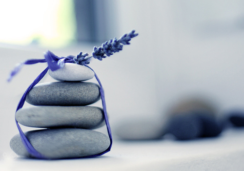 Daniel妈专栏|儿子早早有了大学专业方向,只因我做了这些