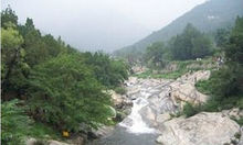 天下名山第一峰书法,中国书法之乡第一名