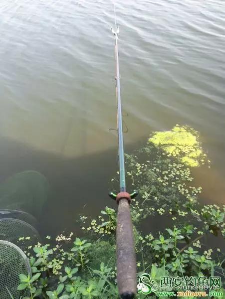 野钓民间故事,野钓奇葩故事视频