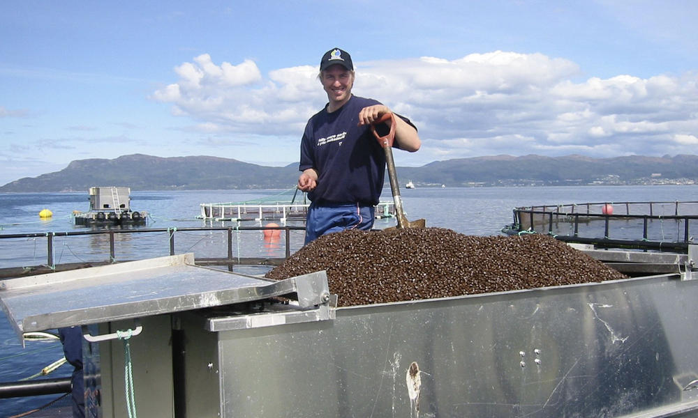 挪威三文鱼和挪威三文鱼,挪威三文鱼是不是有问题