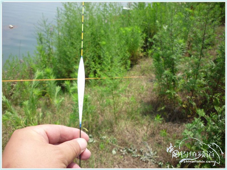 游钓中国丹江口市之行,游钓丹江300天